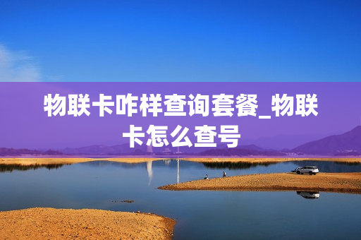 物联卡咋样查询套餐_物联卡怎么查号