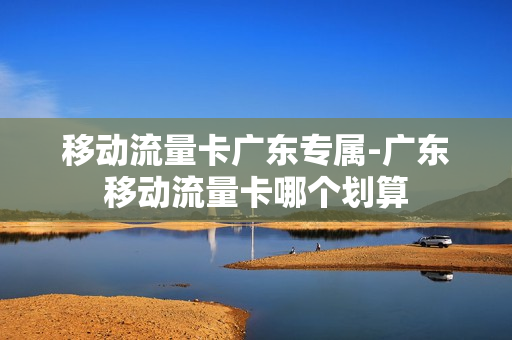 移动流量卡广东专属-广东移动流量卡哪个划算