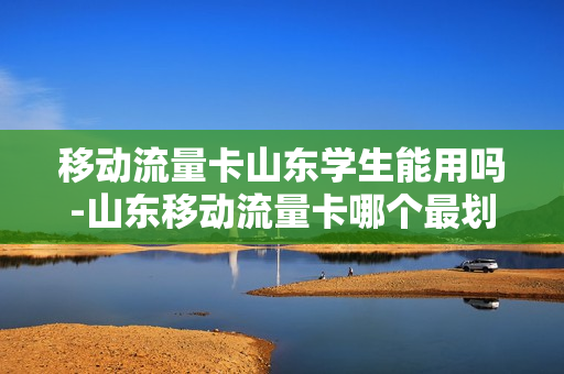 移动流量卡山东学生能用吗-山东移动流量卡哪个最划算