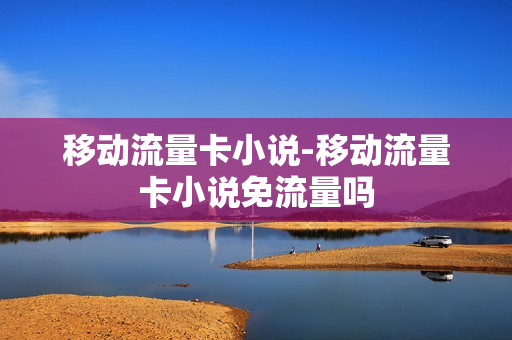 移动流量卡小说-移动流量卡小说免流量吗