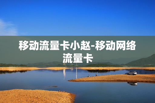 移动流量卡小赵-移动网络流量卡