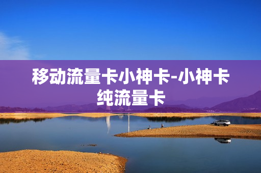 移动流量卡小神卡-小神卡纯流量卡