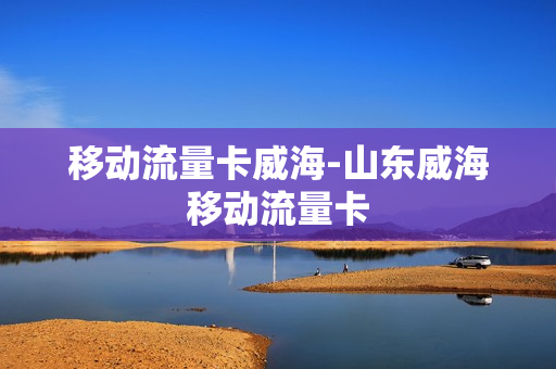移动流量卡威海-山东威海移动流量卡