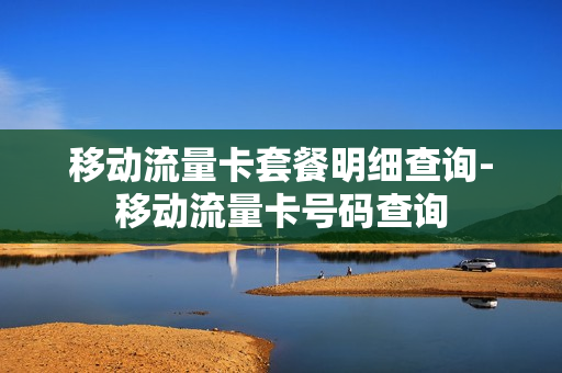 移动流量卡套餐明细查询-移动流量卡号码查询