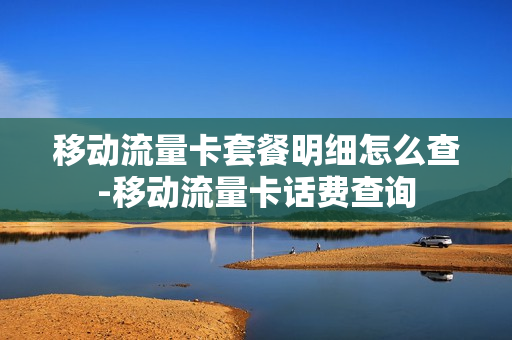 移动流量卡套餐明细怎么查-移动流量卡话费查询
