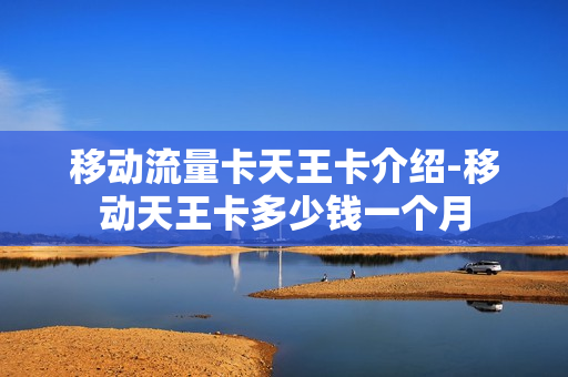 移动流量卡天王卡介绍-移动天王卡多少钱一个月