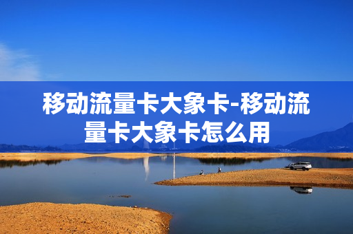 移动流量卡大象卡-移动流量卡大象卡怎么用