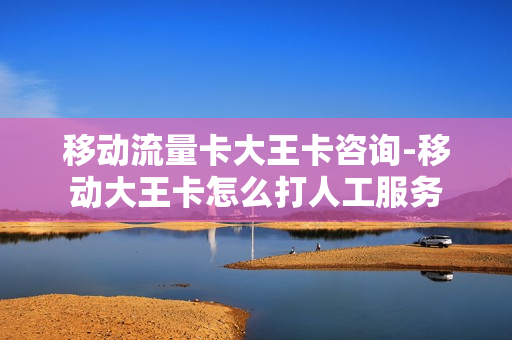 移动流量卡大王卡咨询-移动大王卡怎么打人工服务