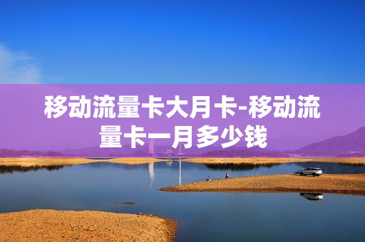 移动流量卡大月卡-移动流量卡一月多少钱
