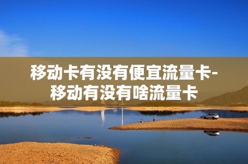移动卡有没有便宜流量卡-移动有没有啥流量卡