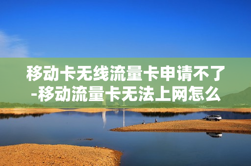 移动卡无线流量卡申请不了-移动流量卡无法上网怎么办