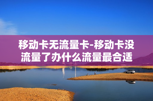移动卡无流量卡-移动卡没流量了办什么流量最合适