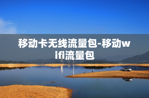 移动卡无线流量包-移动wifi流量包