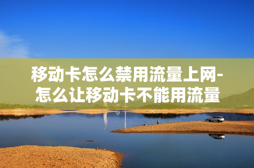 移动卡怎么禁用流量上网-怎么让移动卡不能用流量