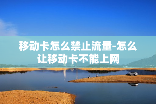 移动卡怎么禁止流量-怎么让移动卡不能上网