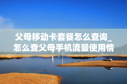 父母移动卡套餐怎么查询_怎么查父母手机流量使用情况