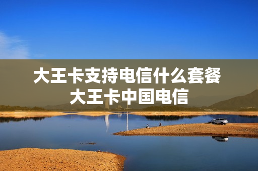 大王卡支持电信什么套餐 大王卡中国电信