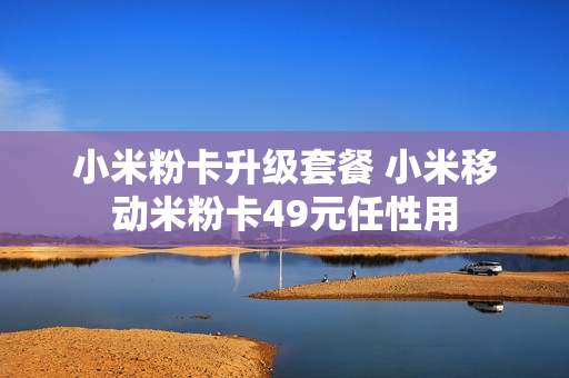 小米粉卡升级套餐 小米移动米粉卡49元任性用