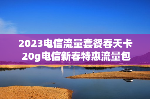 2023电信流量套餐春天卡 20g电信新春特惠流量包