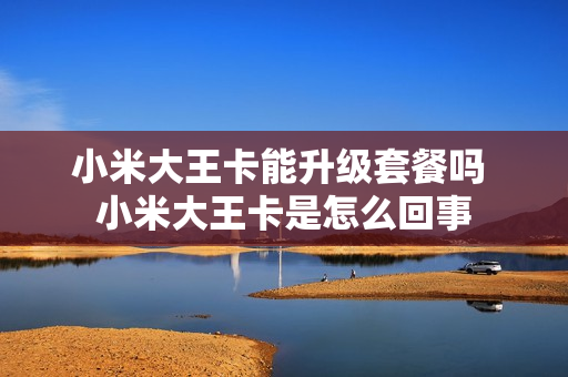小米大王卡能升级套餐吗 小米大王卡是怎么回事