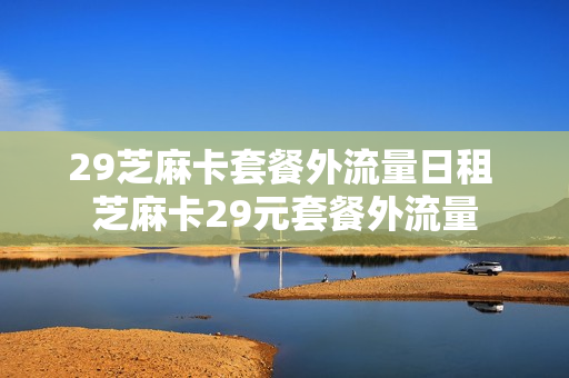 29芝麻卡套餐外流量日租 芝麻卡29元套餐外流量