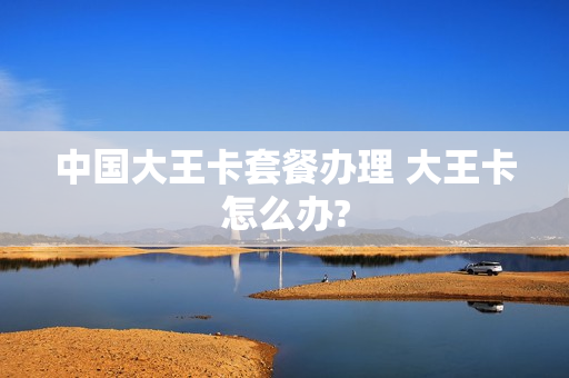 中国大王卡套餐办理 大王卡怎么办?