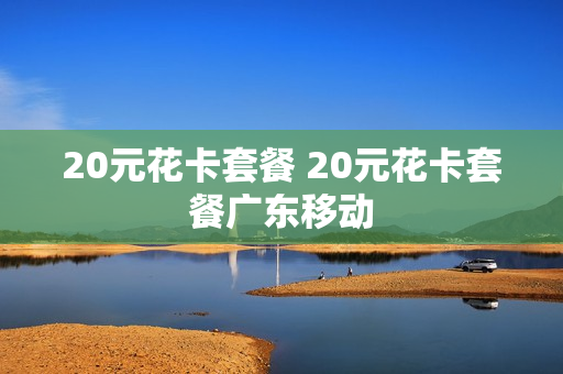 20元花卡套餐 20元花卡套餐广东移动