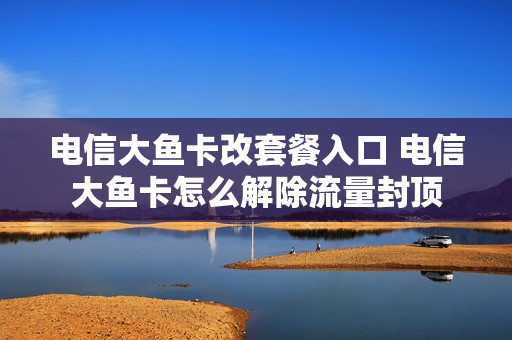 电信大鱼卡改套餐入口 电信大鱼卡怎么解除流量封顶