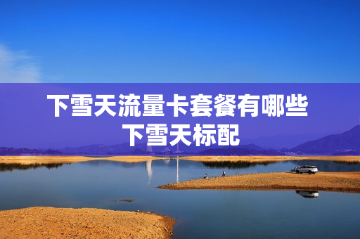 下雪天流量卡套餐有哪些 下雪天标配