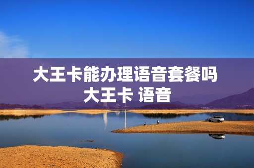 大王卡能办理语音套餐吗 大王卡 语音