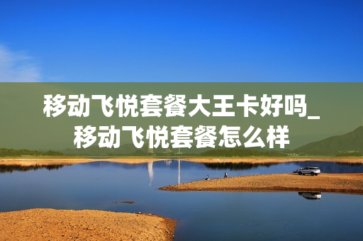 移动飞悦套餐大王卡好吗_移动飞悦套餐怎么样