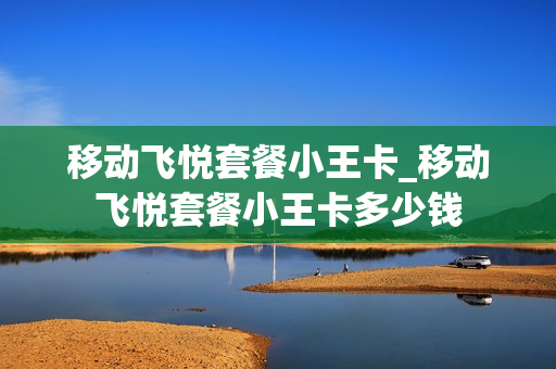 移动飞悦套餐小王卡_移动飞悦套餐小王卡多少钱