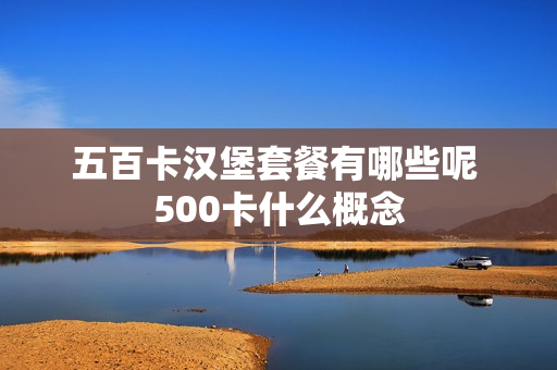 五百卡汉堡套餐有哪些呢 500卡什么概念