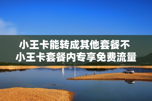 小王卡能转成其他套餐不 小王卡套餐内专享免费流量是什么意思