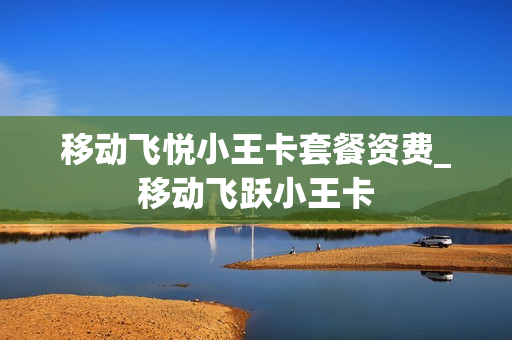 移动飞悦小王卡套餐资费_移动飞跃小王卡