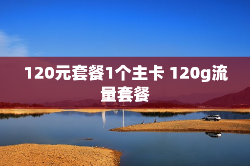 120元套餐1个主卡 120g流量套餐