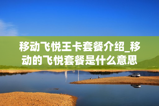 移动飞悦王卡套餐介绍_移动的飞悦套餐是什么意思
