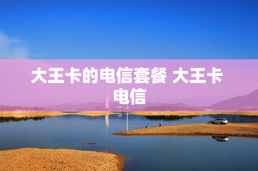 大王卡的电信套餐 大王卡 电信