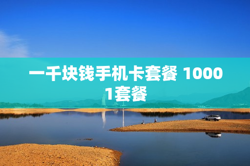 一千块钱手机卡套餐 10001套餐