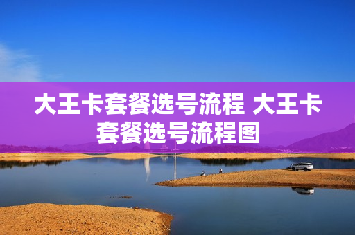大王卡套餐选号流程 大王卡套餐选号流程图