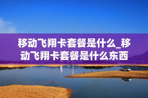 移动飞翔卡套餐是什么_移动飞翔卡套餐是什么东西