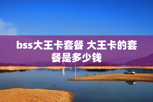 bss大王卡套餐 大王卡的套餐是多少钱