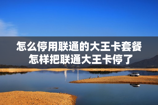 怎么停用联通的大王卡套餐 怎样把联通大王卡停了