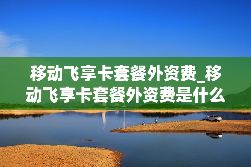 移动飞享卡套餐外资费_移动飞享卡套餐外资费是什么
