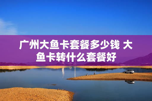 广州大鱼卡套餐多少钱 大鱼卡转什么套餐好