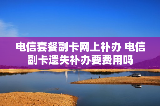 电信套餐副卡网上补办 电信副卡遗失补办要费用吗