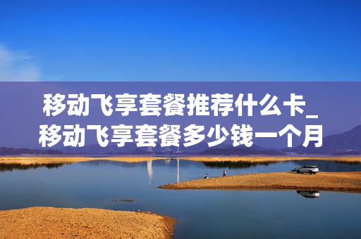 移动飞享套餐推荐什么卡_移动飞享套餐多少钱一个月