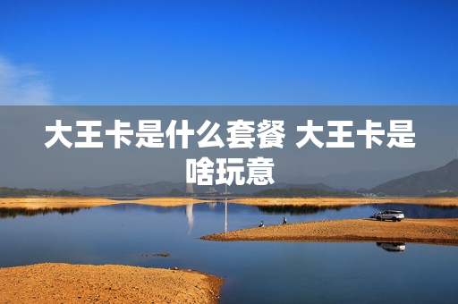 大王卡是什么套餐 大王卡是啥玩意