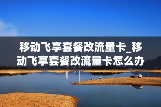 移动飞享套餐改流量卡_移动飞享套餐改流量卡怎么办