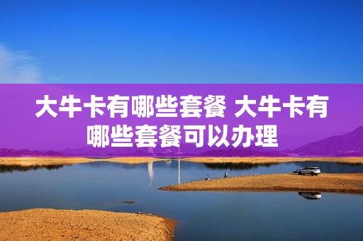 大牛卡有哪些套餐 大牛卡有哪些套餐可以办理